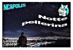 Notte pellerina