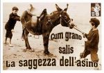 Cum grano salis