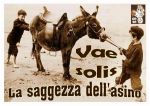 Vae solis