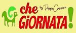 Che giornata!
