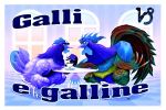 Galli e galline