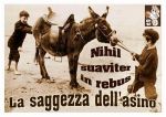 Nihil suaviter in rebus