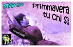 Primmavera tu chi s