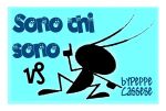 Sono chi sono