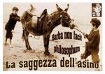 Barba non facit philosophum