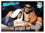 Pecch propio na stalla?