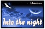 Into the night