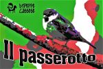 Il passerotto