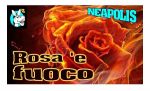 Rosa e fuoco