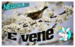 E vene