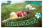Primmavera 1