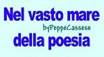 Nel vasto mare della poesia
