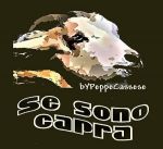 Se sono capra
