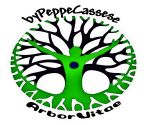 Arbor vitae