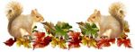Pioggia e vento d'autunno