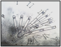 La velocit del tempo