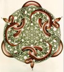 Serpenti custodi