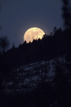 Ecate l'oscura