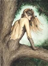 Danza nel bosco