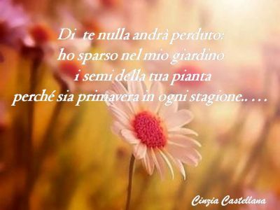 Il mio amore per te