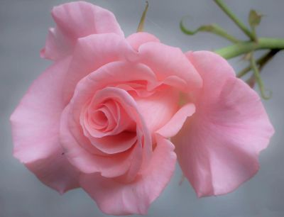 Amore oltre la vita