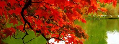 Ti amo autunno