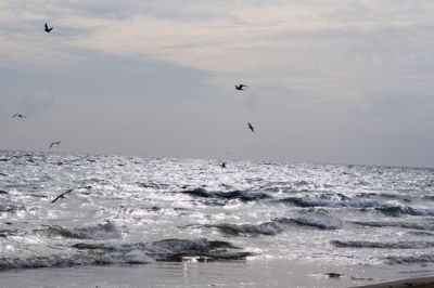 Il tempo di volare