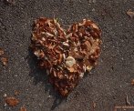 Il dolce ricordo