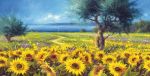 Girasoli