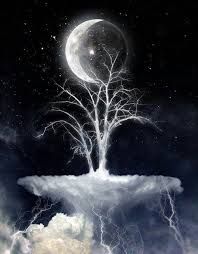 Lune selvagge