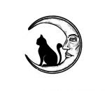 Il gatto e la luna