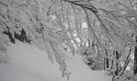 Cantilena d'inverno