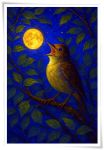Notturno a due voci
