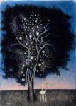 Nascono nella notte