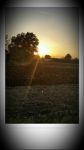 Al sole