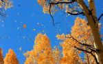 Autunno