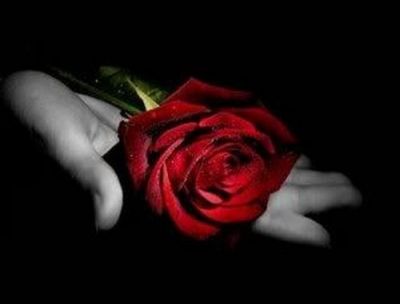 Stringendo una rosa fra le mani