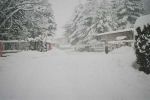Neve