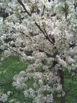 Natura a colori