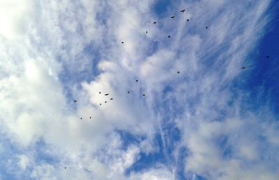 Volare