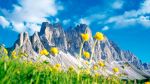 In cima al monte