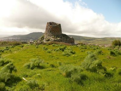 Afonia di Sardegna