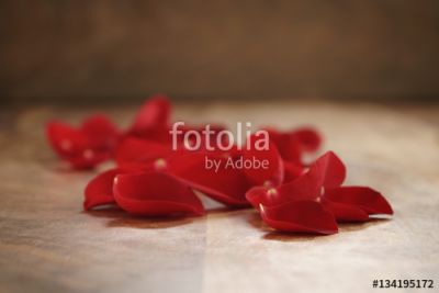 Petali di rose