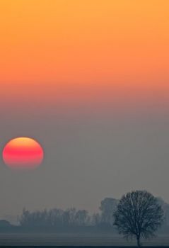 Il canto della sera