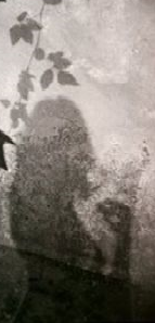 Ombra