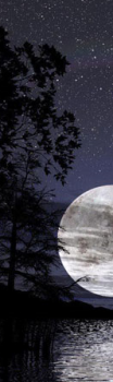 Figli della luna