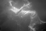 Sole nero