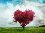 Amore mio