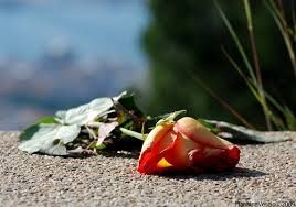 L'amore dimenticato