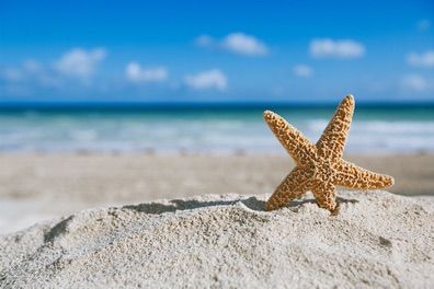  cos bello il mare di settembre